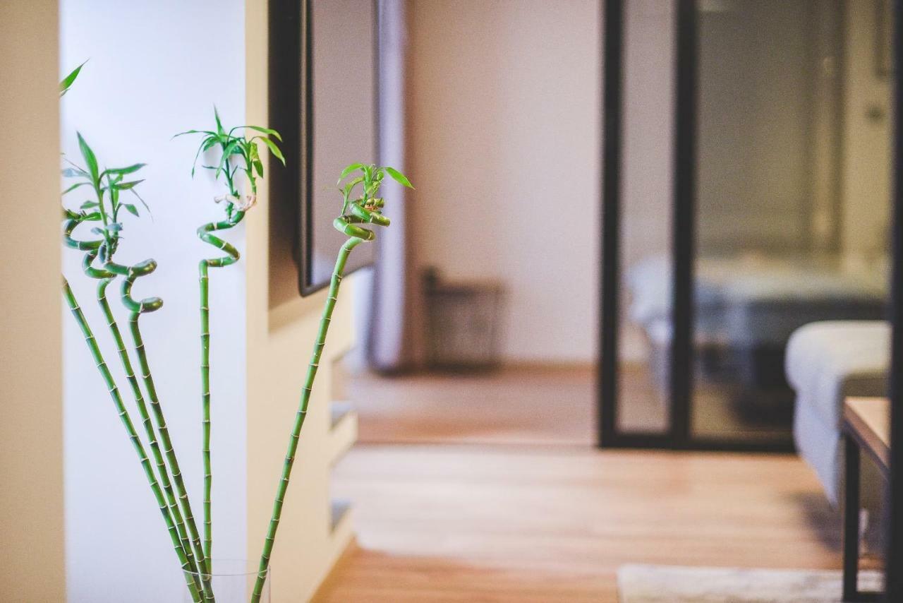 Apartman M&M 里耶卡 外观 照片